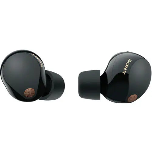 Sony WF-1000XM5 Noise-Canceling True Wireless In-Ear Headphones (Black)